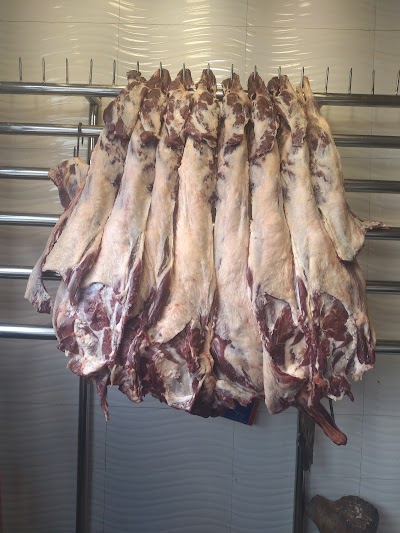 Kebede special kurt and kitfo ከበደ