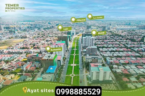 Temer Real Estate Advisor in Addis Ababa