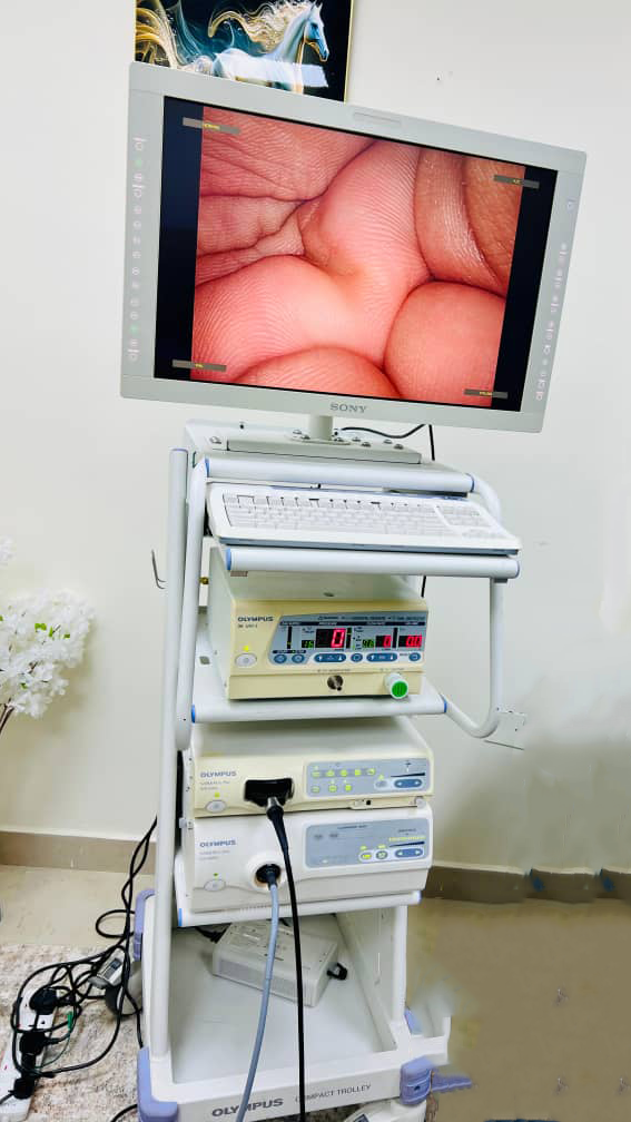 Olympus Endoscopy System