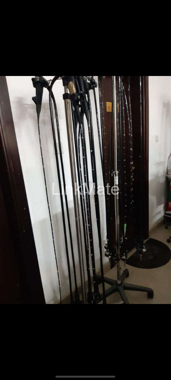 Collection of endoscopes